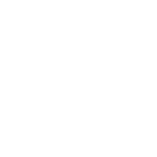 customer service icon