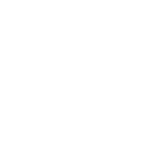 monitor icon